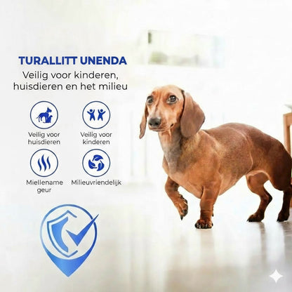 Jarrary lattianhoitokiillotusaine