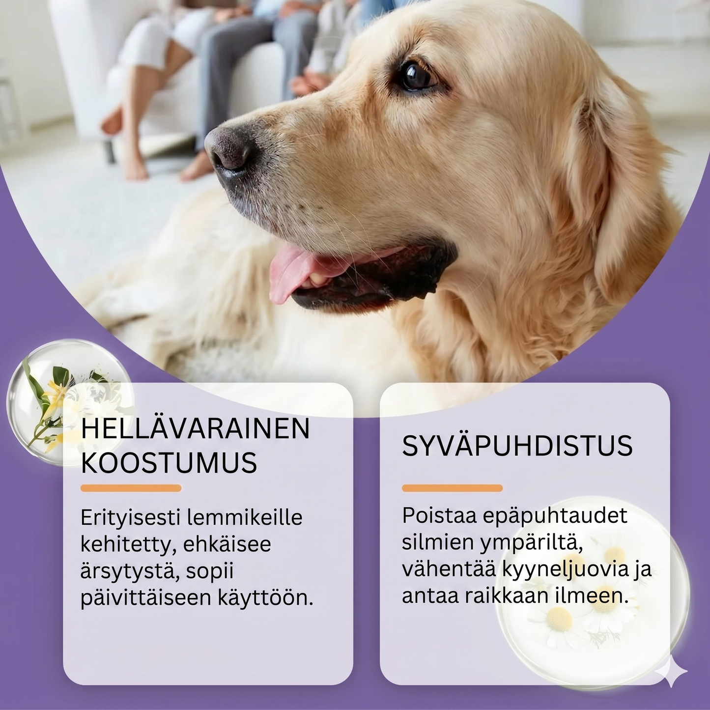 Hellävarainen silmienhuuhteluaine koirille ja kissoille