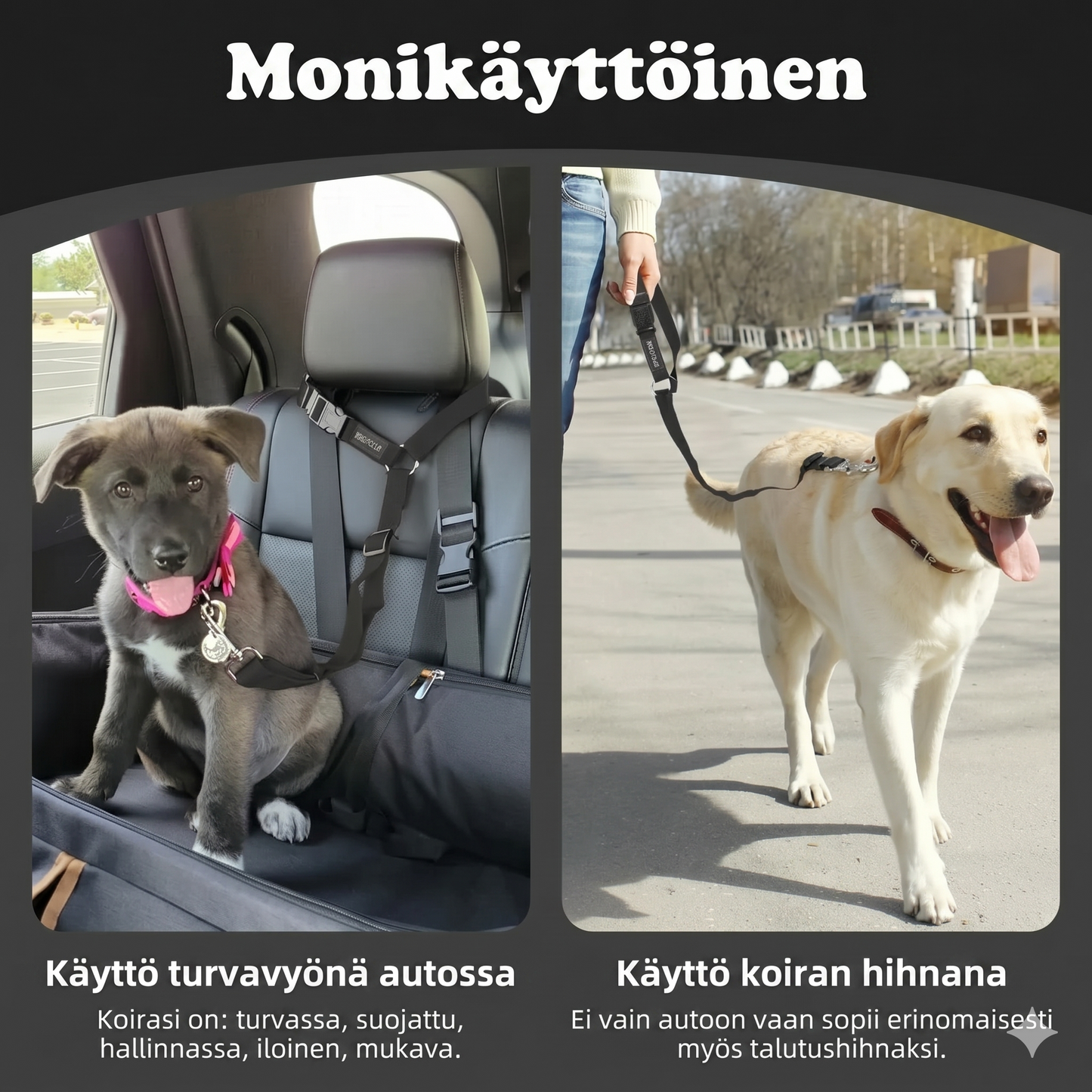 2-in-1 koiran turvavyö ja talutushihna
