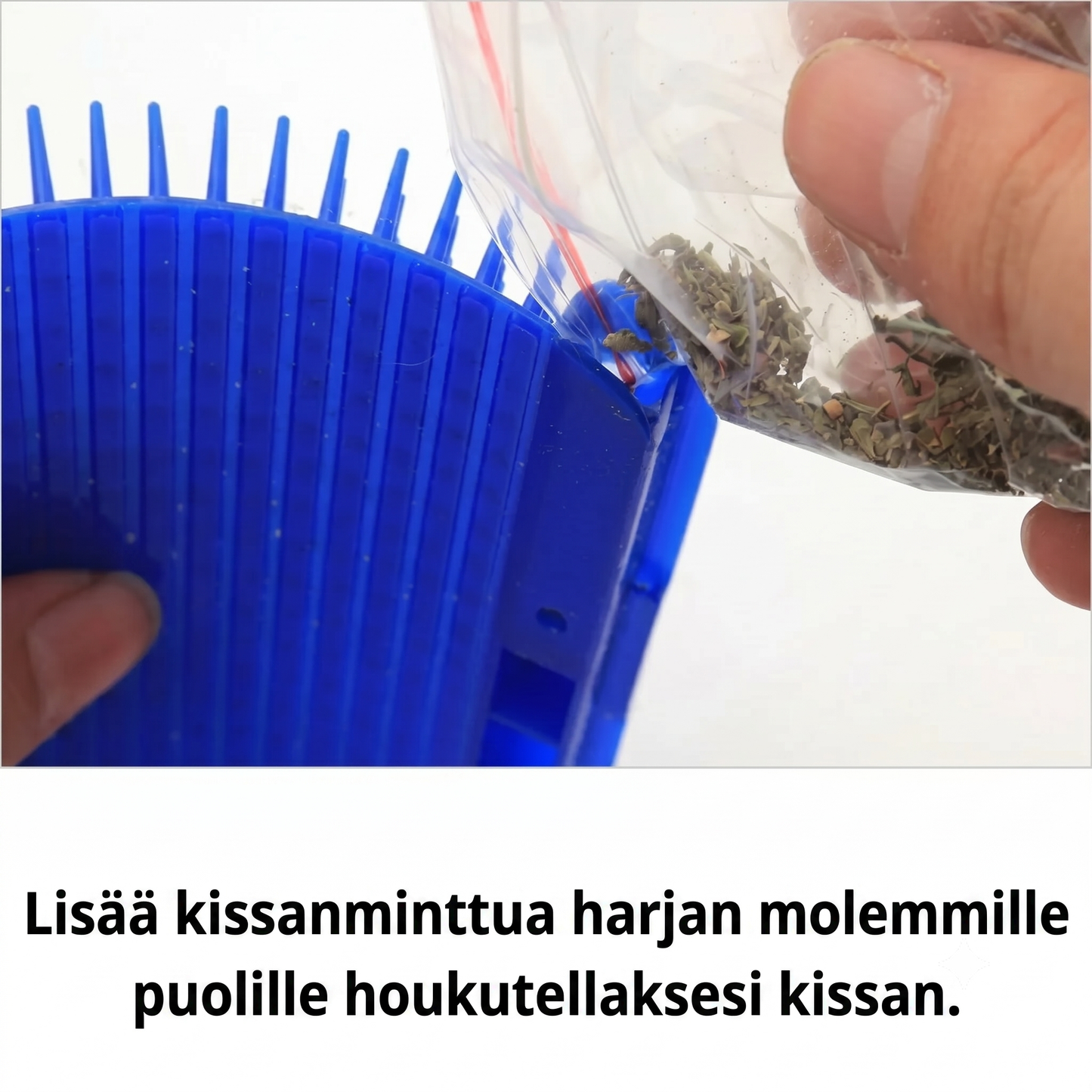 Itsepuhdistuva kissan hierontaharja kulmiin