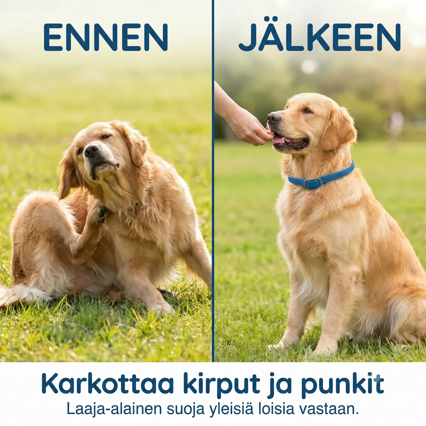 Kirppu- ja punkkipanta lemmikeille