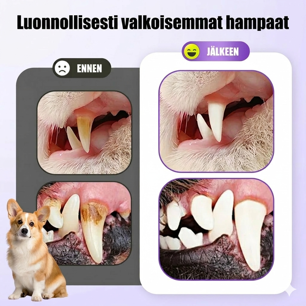 Suunhoitogeeli lemmikeille