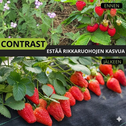 Biohajoava rikkaruohokangas
